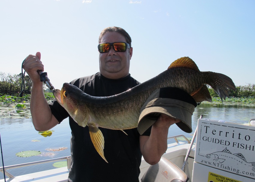 nt barra safari fishing the top end one day trip charter