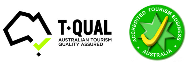 TQUAL_ATAP-Logo-_Horizontal-NT
